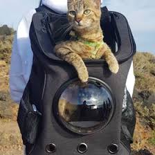 The best cat carriers keep your pet safe and comfortable during travel. Your Cat Backpack Yourcatbackpack Profile Pinterest