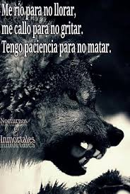 Pin De Telma En Lobos Solitaria Frases Frases De Lobos Frases De Sabiduria