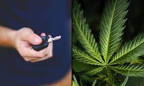 At this point, you might want to show the officer a few other token courtesies. Pennsylvania House Votes To Protect Medical Marijuana Patients From Dui Charges Marijuana Moment