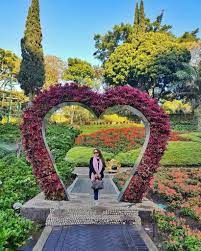 Bunga ini termasuk bunga yang indah di dunia karena bentuknya yang unik serta warnanya yang indah. 15 Wisata Taman Bunga Di Indonesia Yang Membuatmu Serasa Di Luar Negeri