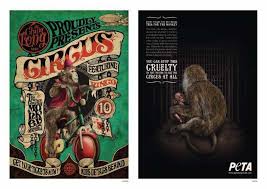 Circus Animal Cruelty Ads Statistics How You Can Help Circus Animal Abuse Animal Cruelty Awareness Circus Animals