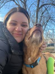 Who in Bozeman makes cakes or treats for dogs?