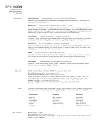 resume : erik askin