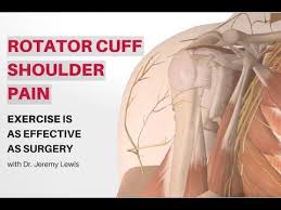 Rotator cuff shoulder muscles diagram. Rotator Cuff Shoulder Pain Exercise Is As Effective As Surgery Youtube