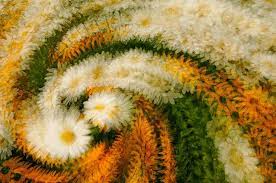 Abstract Nature Photography Online Class Announcement Abstract Nature Abstract Photography Vintage Nature Photography