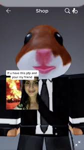We post the best tiktok memes and keep you entertained be sure to like Hamsteronthetop Hashtag Videos On Tiktok