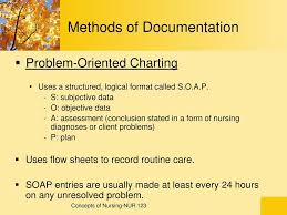 Documentation And Reporting Ppt Download