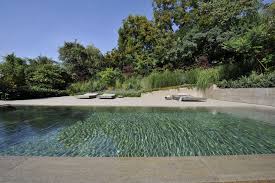 Urwaldambiete Am Pool Poolumrandung Deck Und Mauer Aus Memphis Muschelkalk Natur Pool Natursteine Muschelkalk