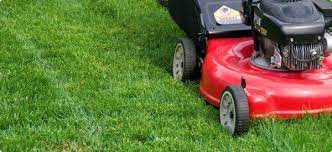Lawn Mowing Cost Redbeacon Lawn Mowing Business Planting Grass Lawn Care