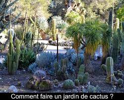 Prenez le cactus, posez la main sur la terre autour de son pied et retournez le pot pour déloger la plante. Comment Faire Un Jardin De Cactus