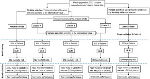 Total de empresas ativas com participação do sócio ana paula rodriguez arias : Deploying Unsupervised Clustering Analysis To Derive Clinical Phenotypes And Risk Factors Associated With Mortality Risk In 2022 Critically Ill Patients With Covid 19 In Spain Springerlink