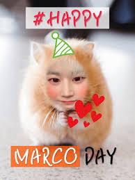 스위트*마르코 (@sweetmarco511)