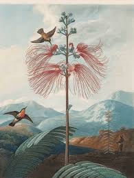 Abolfazl asudeh phd, university of texas at arlington john bell phd, university of wisconsin gonzalo bello phd, north carolina state university daniel j. Flower Power Cleveland Museum Of Art