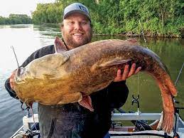 Top Destinations For Trophy Flathead Catfish