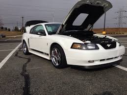 Image result for Oxford White 2003 Escape