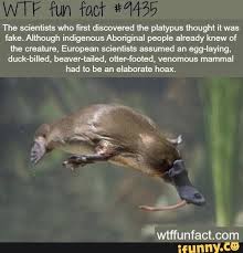 Pin On Funny Shower Thoughts Memes