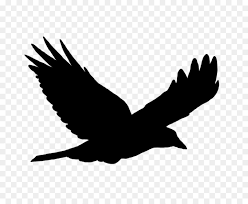 Free cliparts that you can download to you computer and use in your designs. Bird Flight Vogelflug Silhouette Clip Art Vogel Png Herunterladen 768 725 Kostenlos Transparent Adler Png Herunterladen