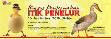 Ilman menemukan adanya peningkatan pada kemungkinan suatu rumah tangga memiliki anak stunting ketika harga kelima pangan tersebut naik sebesar rp 1.000. Kursus Penternakan Itik Penelur Universiti Putra Malaysia Bintulu Sarawak Campus