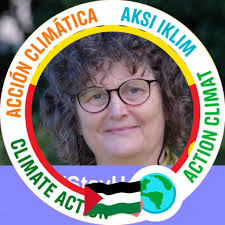 Has anyone switched to a standard electric cooktop as a temporary solution  before installing an induction cooktop, and what was their experience with  Red Energy for getting off gas?