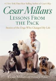 How do i stop my dog from excessively barking? Buy Cesar Millan S Lessons From The Pack Stories Of The Dogs Who Changed My Life Book Online At Low Prices In India Cesar Millan S Lessons From The Pack Stories Of The