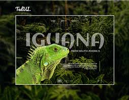 Maybe you would like to learn more about one of these? Mehvkzjuqdzf6m