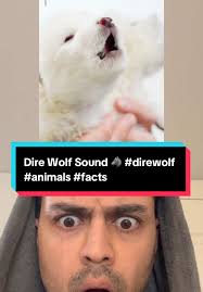 Dore Wolf Angry Form