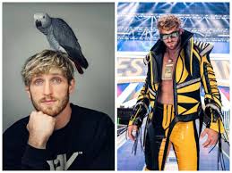 Logan paul hawk tua - tanach-tashach.m-yehuda.org.il