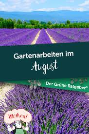 Gartenarbeiten Im August In 2020 Gartenarbeit Garten Im August