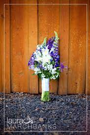 We did not find results for: Pin By Cindy Shuck On Wedding Flowers Bouquets And Centerpieces Daisy Wedding Flowers Purple Wedding Flowers Bright Wedding Flowers