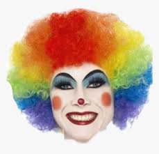 Transparent Clown Wig Png Multi Coloured Clown Wig Png Download Kindpng This png file is about wig ,transparent ,clown.