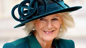 Caravan couple's Bunnings solution to dry laundry in a small space:  'Perfect size'