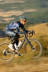 Image result for Orbea umbracula