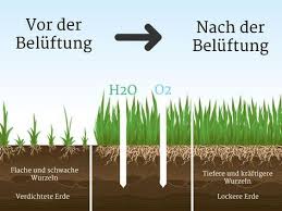 Rasen Luften So Geht Es Richtig Rasen Luften Rasen Garten