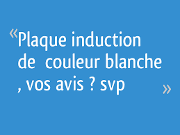 Brandt kip100w cuisiniere table induction pas cher cuisiniere cdiscount soldes cdiscount top soldes cdiscount ventes pas cher com table induction cuisiniere induction. Plaque Induction De Couleur Blanche Vos Avis Svp 31 Messages