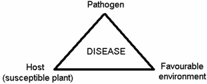 Learn vocabulary, terms and more with flashcards, games and other study tools. Integrated Disease Management In Greenhouses
