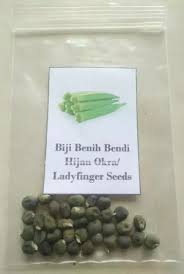 Benih dapat dibuat sendiri dan berasal dari tanaman kacang hijau sebelumnya. 30 Biji Benih Kacang Bendi Hijau Okra Lady Finger Seeds Lazada