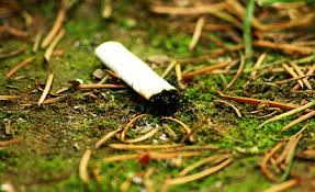 Projeto Praia sem Bituca recolhe 15 mil pontas de cigarro em ...