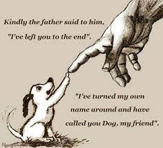 God Dog Dog Quotes Dog Lovers I Love Dogs