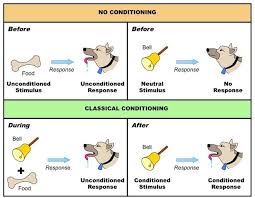 Pin On Behaviorism Social Learning Theory