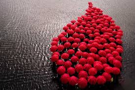 The first world blood donor day was observed by who in 2004. World Blood Donor Day In United Nations In 2021 There Is A Day For That