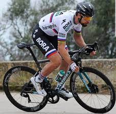 Peter Sagan Bora Hansgrohe Sagan Racing Cyclist Cycling