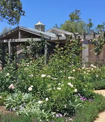 Patina Farm A Garden Update And A Farewell To Feed Burner Patina Farm Outdoor Gardens Farm Gardens