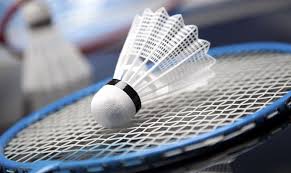 Bildresultat för badminton