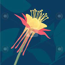 Pin On Flowers