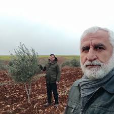 MÜHENDİSİN GÜNLÜĞÜ BAHÇE GEZİLERİMİZDEN GEMLİK YAĞLIK ZEYTİN BAHÇESİ