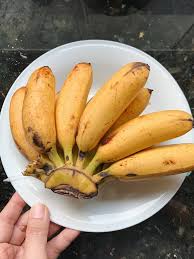 We did not find results for: Pisang Goreng Cheese