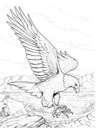 Download 18,000+ royalty free animal coloring pages vector images. Pin On Adult Coloring