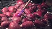 Markus rothkranz shows how to prepare one of the healthiest powerful drinks possible, using two of the most healing. How To Pick And Eat Prickly Pear Fruit Youtube