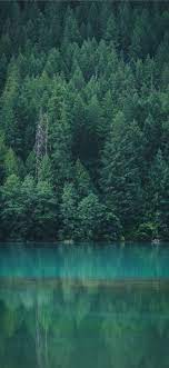 La Reflexion De La Foret A L Iphone 11 Diablo Lac Fonds D Ecran Telecharger Forest Wallpaper Forest Wallpaper Iphone Diablo Lake