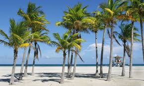 Las Mejores Playas De Miami Un Pedacito De Paraiso En Ee Uu Playas Paradisiacas Viaje A La Playa Playas De Florida